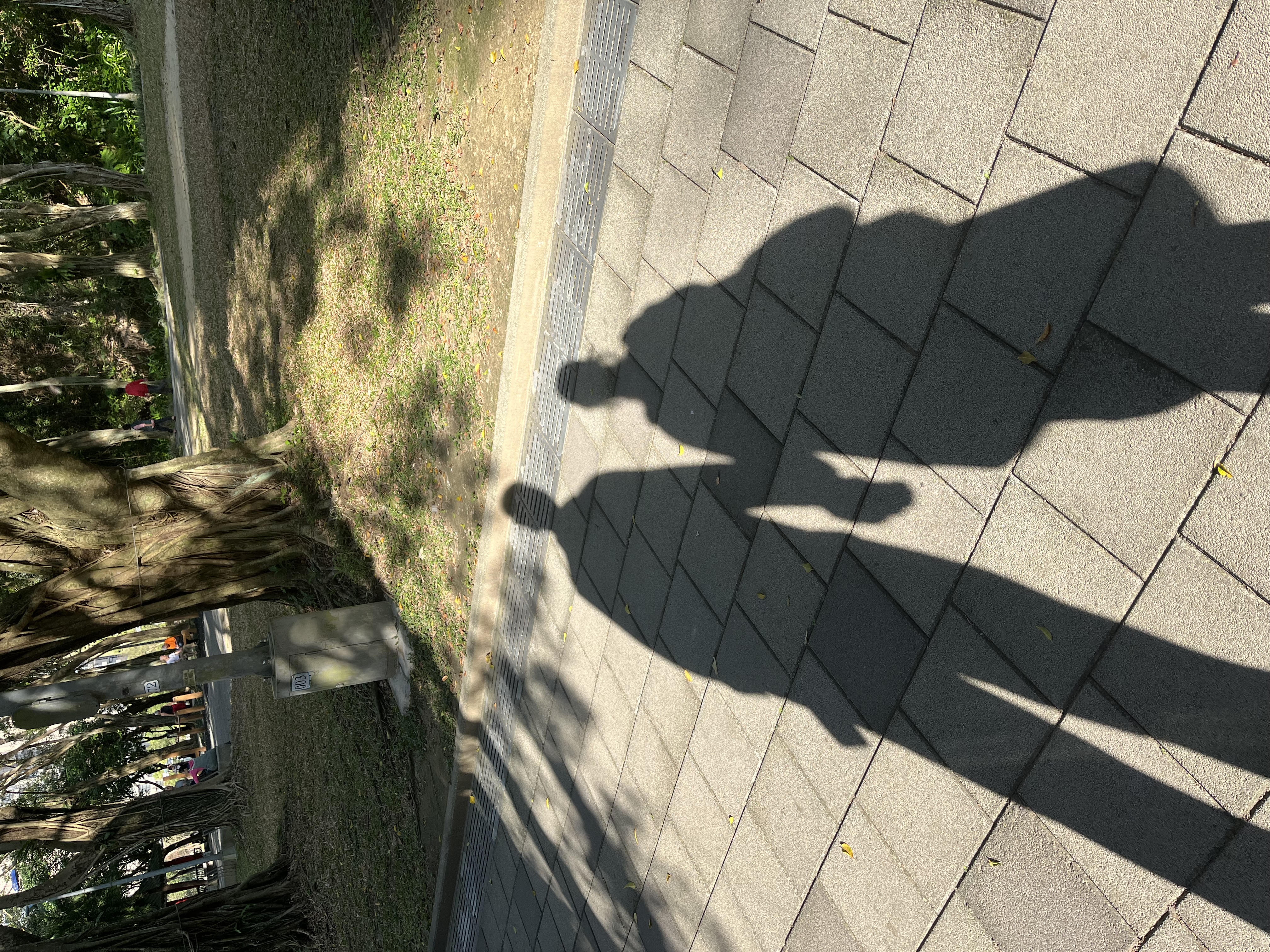 The start of our love being realized